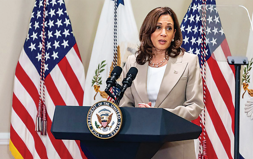 VP Harris plan to help minorityowned small businesses
